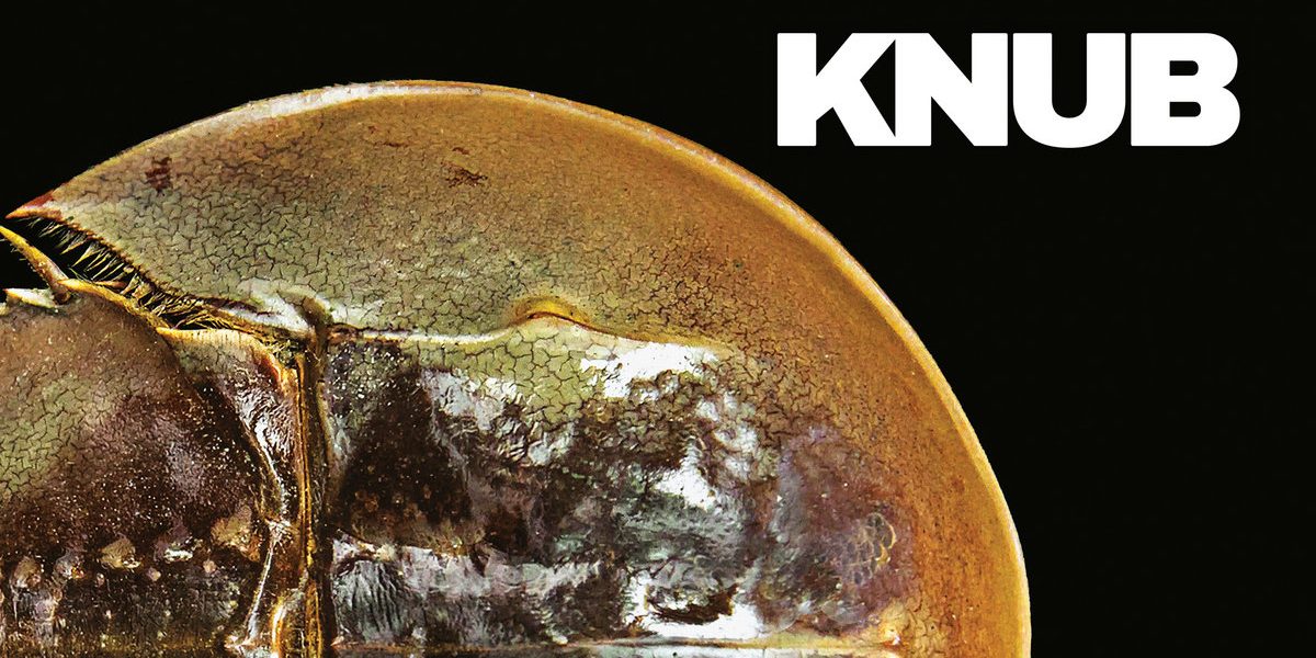 Knub – Crub LP (Expert Work Records) 