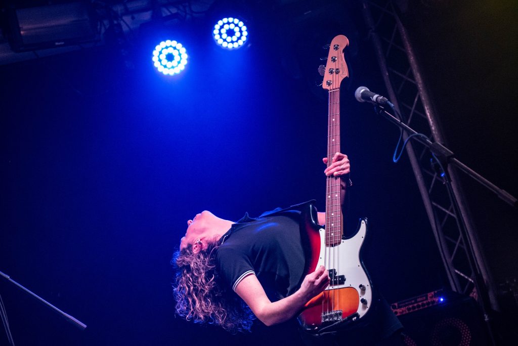 TV Face – Wolf Rents Bark 